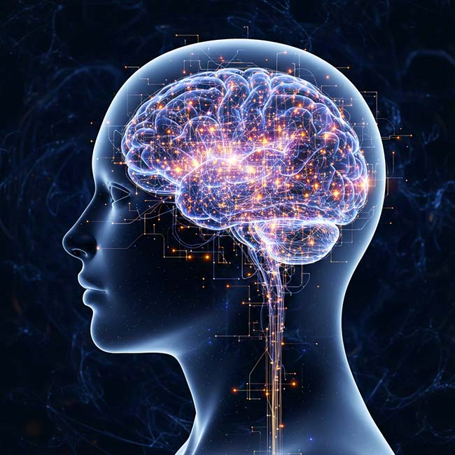 Nervenimpuls Übertragung Inositol