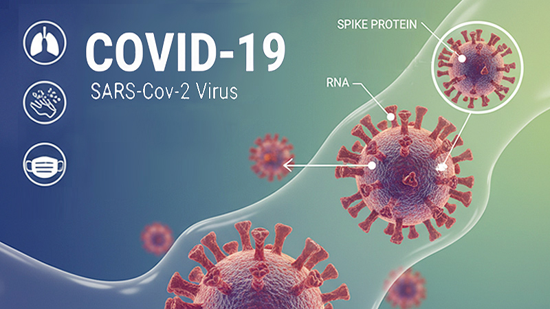 Quercetin bei SARS-CoV-2-Virus (Covid-19) width=