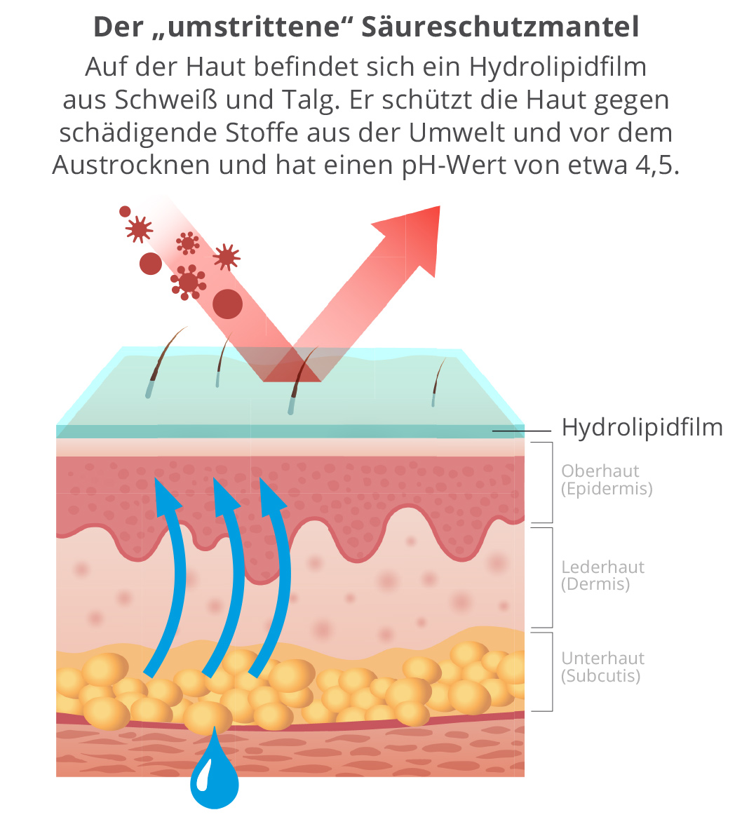 Säureschutzmantel Haut