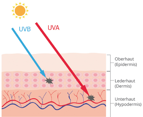 UVA und UVB Strahlen