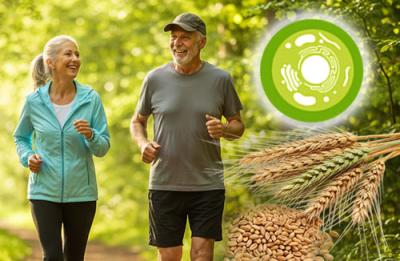 Die richtigen Nährstoffe für die Zellgesundheit (Spermidin)